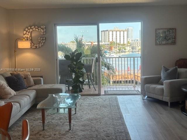 living room with plenty of natural light, wood finished floors, and a view of city