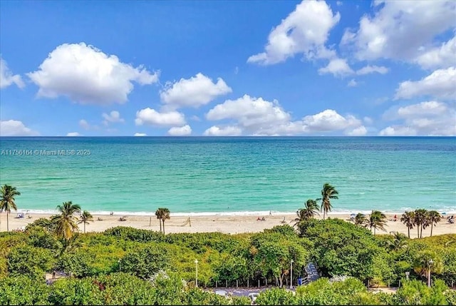 water view with a beach view