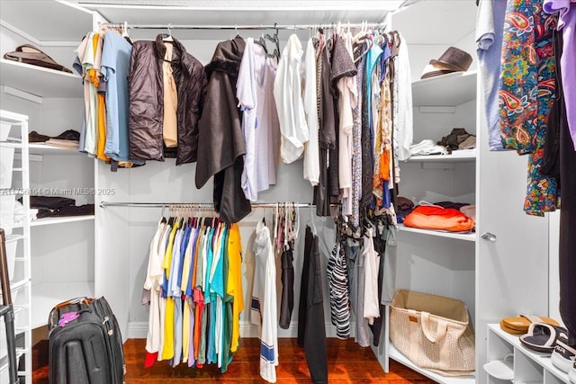 walk in closet featuring wood finished floors