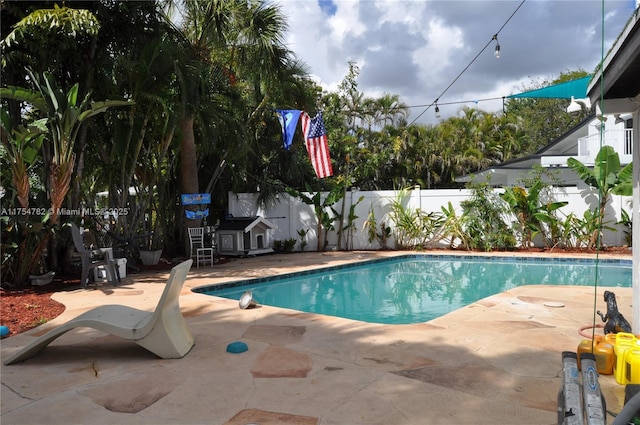 2413 Sugarloaf Ln, Fort Lauderdale, FL 33312 - view of swimming pool with a fenced in pool, a fenced backyard, and a patio area