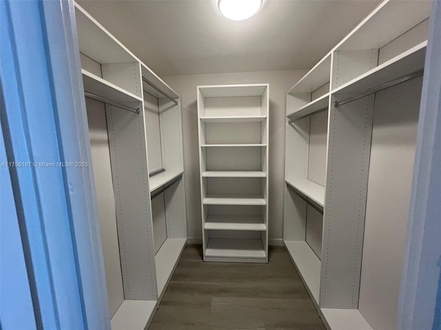 walk in closet with dark wood finished floors