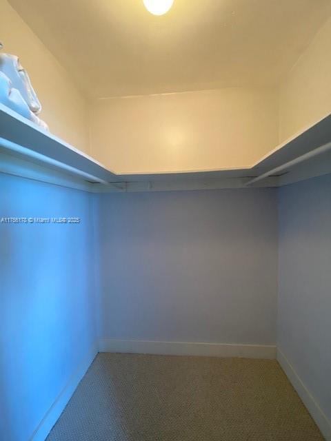 walk in closet featuring carpet floors