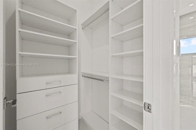 view of spacious closet