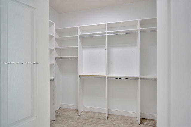 spacious closet featuring wood finished floors