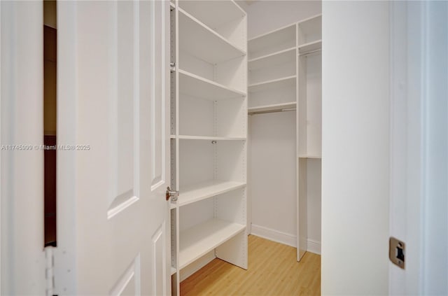 spacious closet featuring light wood-type flooring