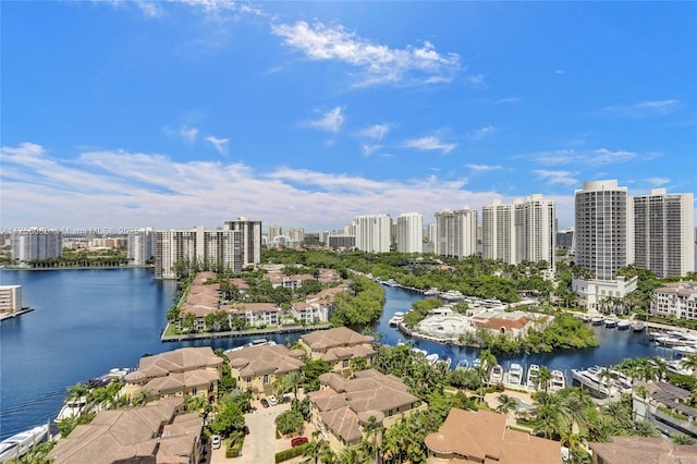 drone / aerial view featuring a view of city and a water view