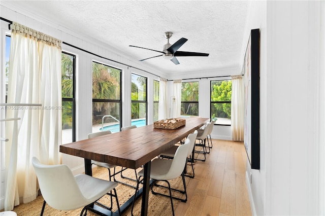 dining space with a ceiling fan, light wood-type flooring, and a textured ceiling