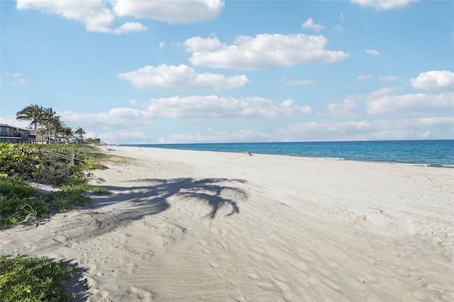 water view featuring a beach view