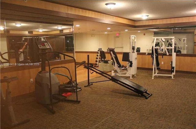 gym featuring wood walls and wainscoting