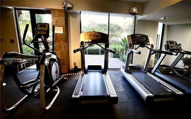 workout area featuring a healthy amount of sunlight