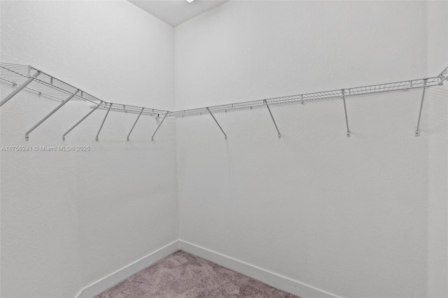 walk in closet featuring light carpet