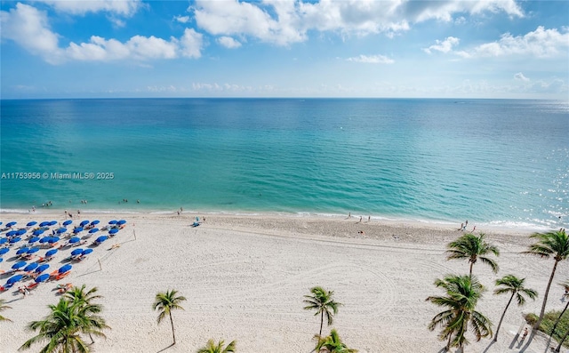 property view of water with a beach view