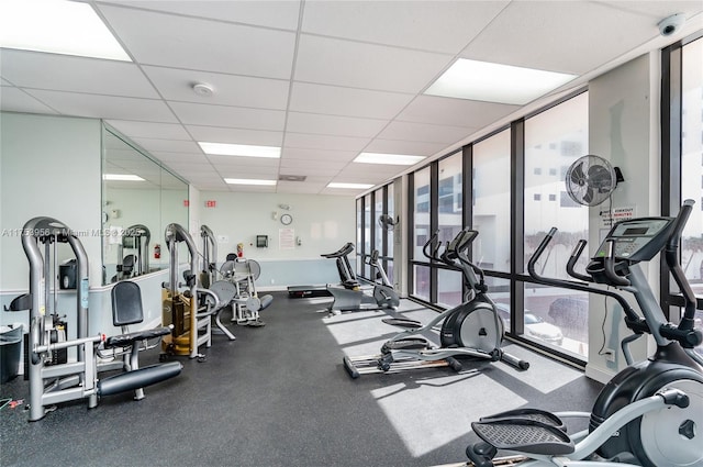 exercise room featuring a wealth of natural light, baseboards, a paneled ceiling, and floor to ceiling windows