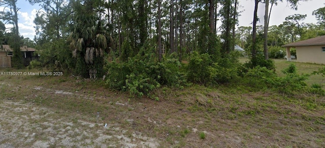 Listing photo 3 for 303 Mcarthur Ave, Lehigh Acres FL 33936