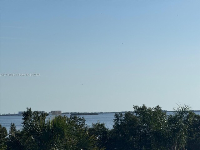 606 Indiana Ave, Palm Harbor, FL 34681 - photo 20