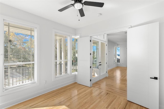 entrance foyer featuring baseboards, plenty of natural light, and light wood-style floors