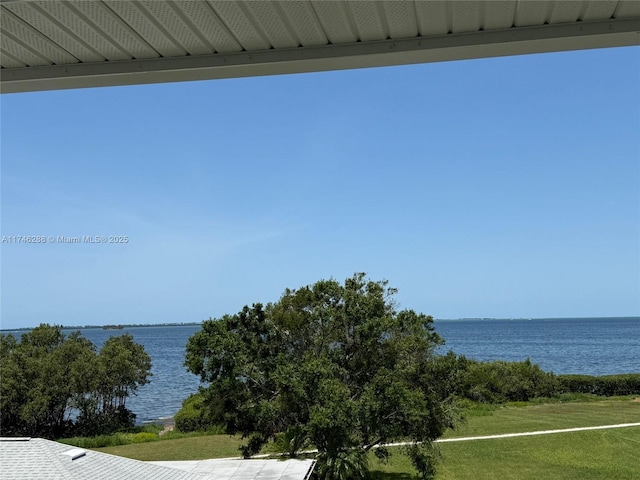 606 Indiana Ave, Palm Harbor, FL 34681 - photo 57