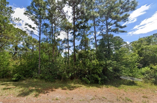 354 Wildcat St, Lake Placid FL, 33852 land for sale