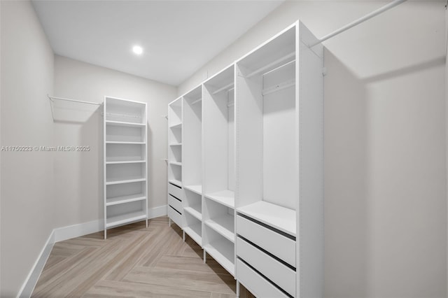 view of spacious closet