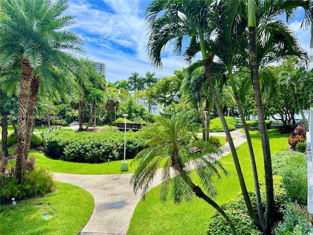 2801 NE 183rd St Unit 215W, Aventura, FL 33160 - view of property's community featuring a lawn