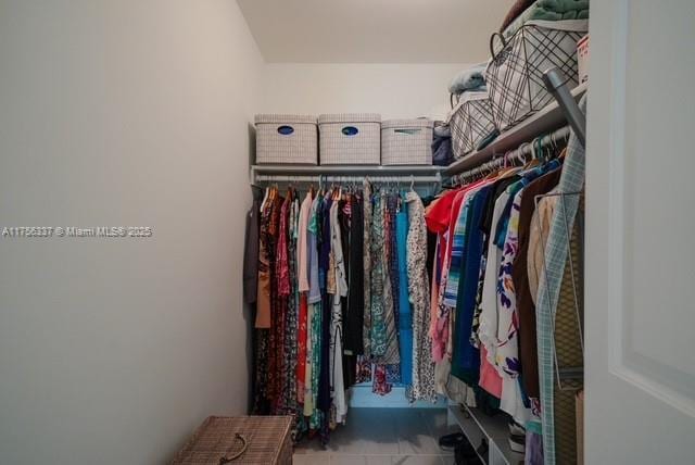 view of spacious closet
