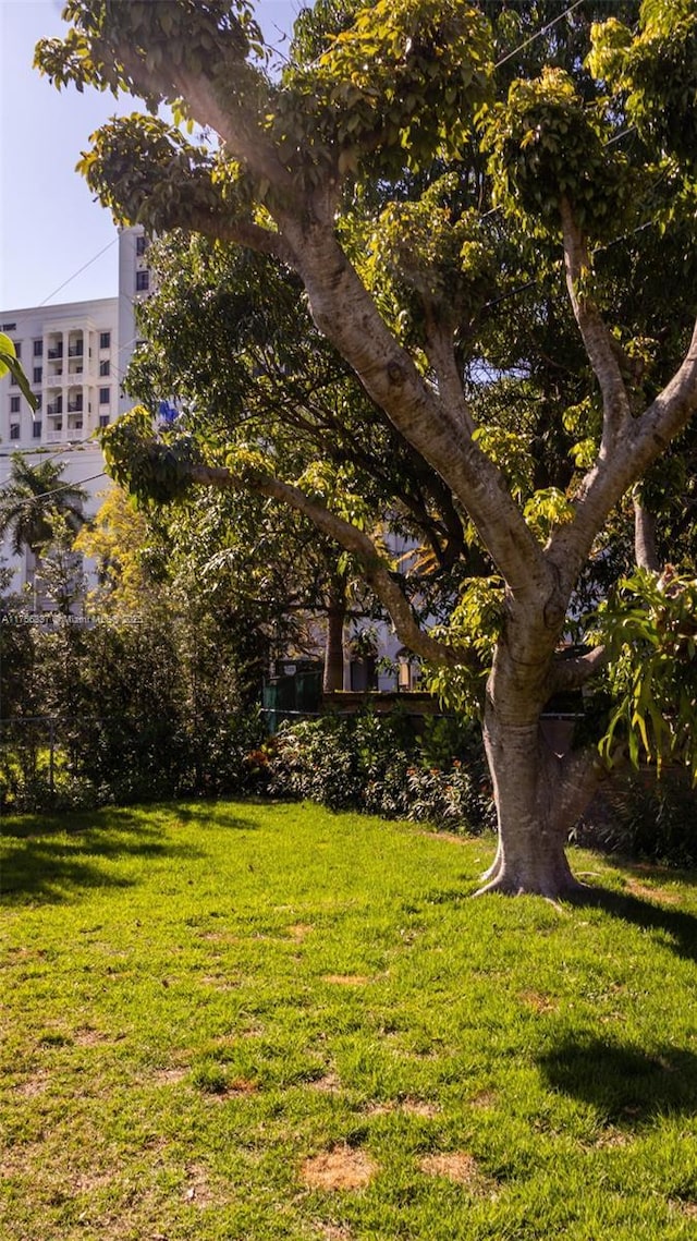 213 Florida Ave, Coral Gables, FL 33133 - view of yard