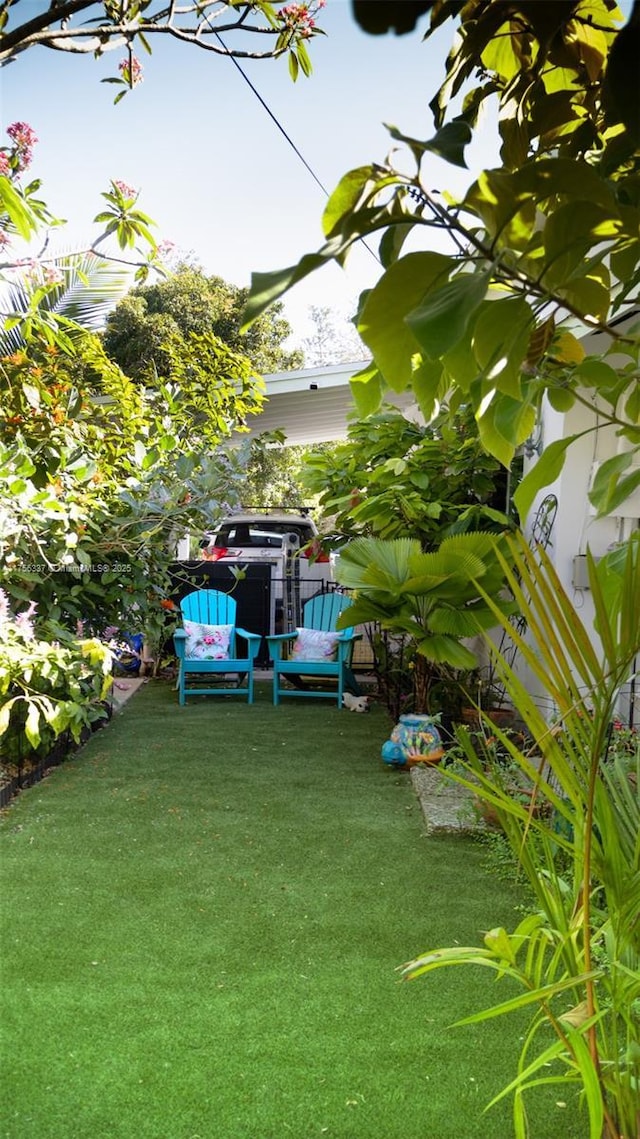 213 Florida Ave, Coral Gables, FL 33133 - view of yard
