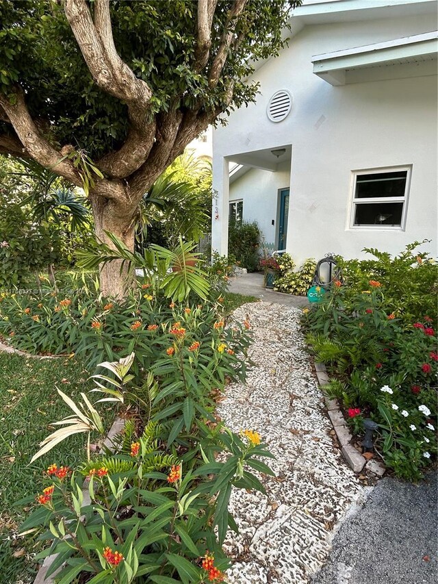 213 Florida Ave, Coral Gables, FL 33133 - view of yard