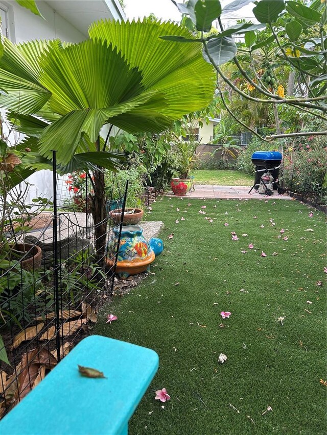 213 Florida Ave, Coral Gables, FL 33133 - view of yard