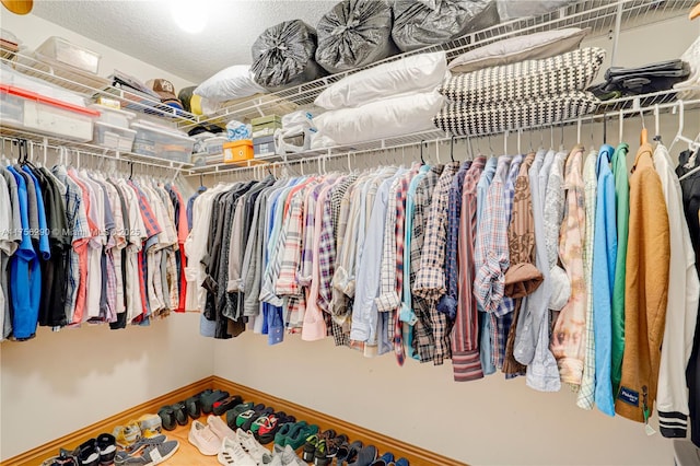 view of spacious closet