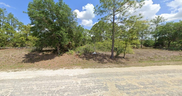 Listing photo 2 for 1420 Edward Ave, Lehigh Acres FL 33972