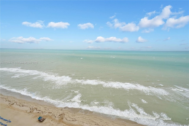 water view featuring a beach view