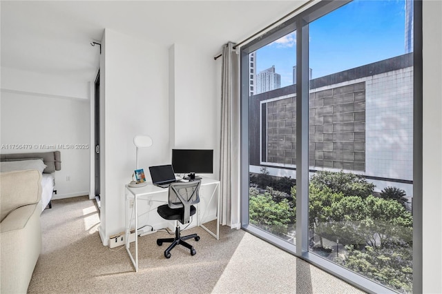 home office with carpet floors