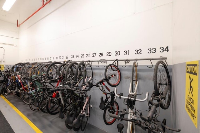 garage with bike storage