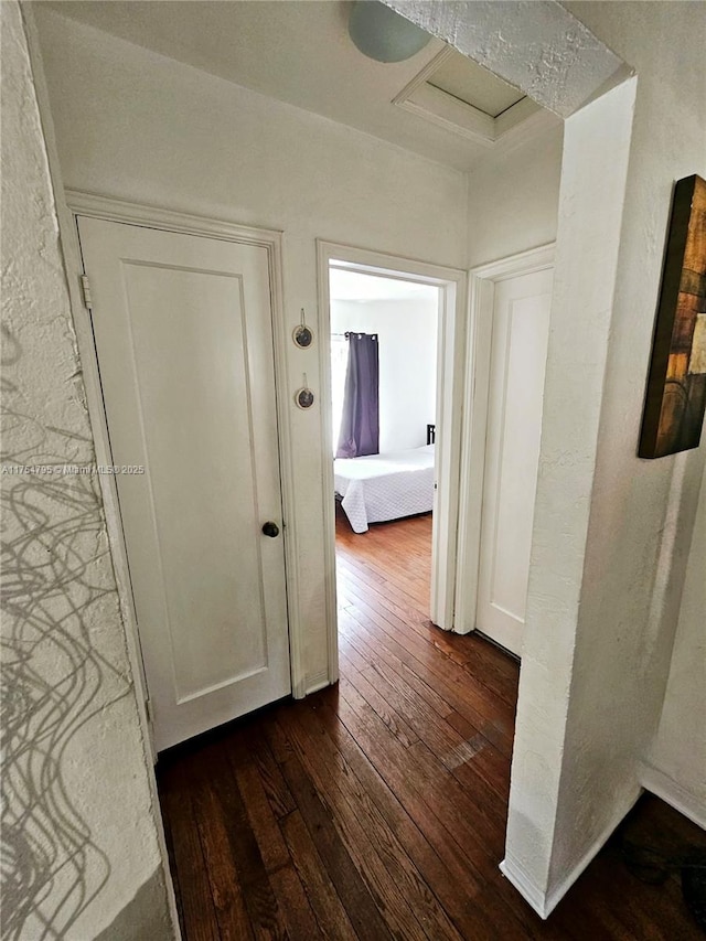 corridor featuring dark wood-type flooring and attic access