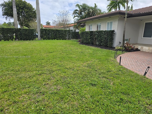 view of yard featuring a patio area