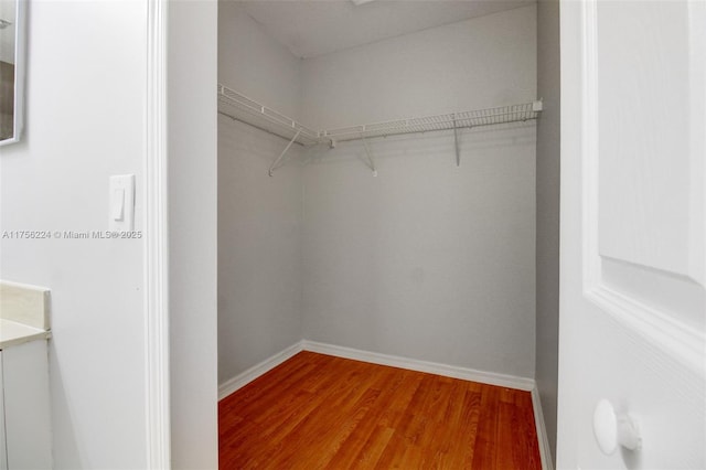 spacious closet featuring wood finished floors