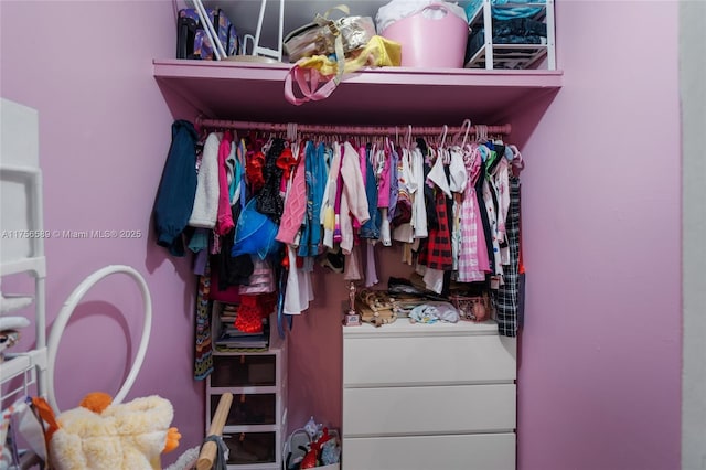 view of closet