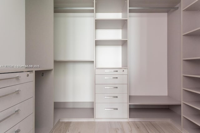 spacious closet featuring light wood finished floors