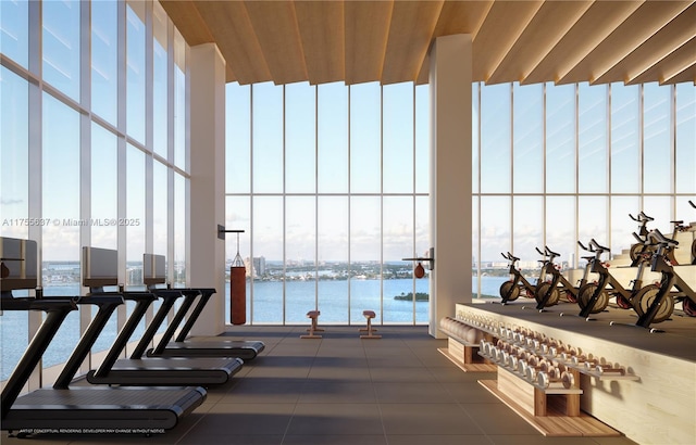 exercise room featuring a wall of windows, a healthy amount of sunlight, and a water view