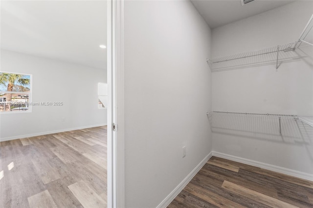 walk in closet featuring wood finished floors