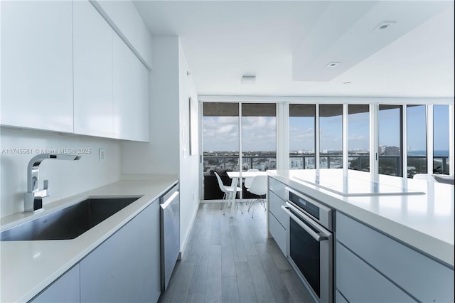 kitchen featuring modern cabinets, stainless steel appliances, a sink, and wood finished floors