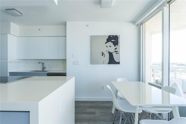 kitchen with baseboards, modern cabinets, wood finished floors, white cabinetry, and a sink