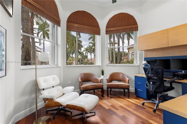 office featuring hardwood / wood-style floors, plenty of natural light, and baseboards