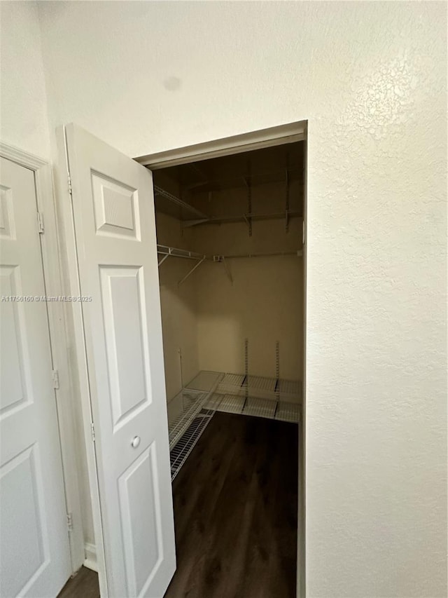 spacious closet with dark wood-type flooring