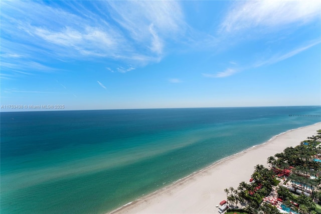 property view of water with a beach view