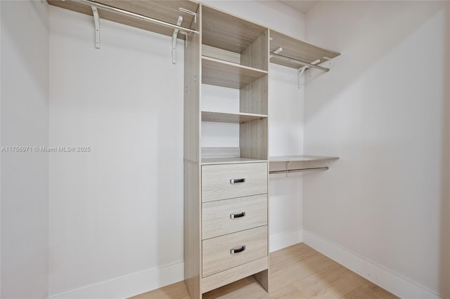 walk in closet featuring light wood-style flooring