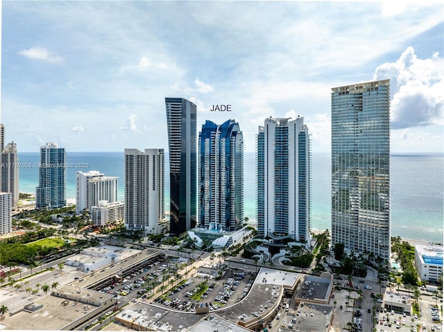 view of city featuring a water view