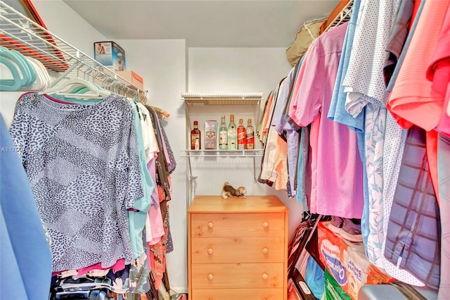 view of walk in closet