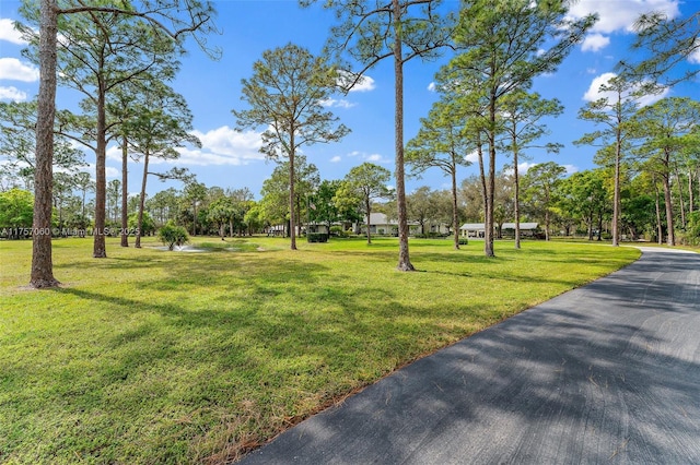 view of home's community featuring a yard